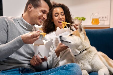 Young adult multi ethnic couple eating chinese food, looking at dogの写真素材