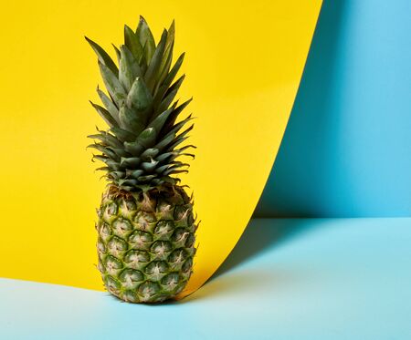 Concept of exotical food and fruits. Tropical textured pineapple with green leaves standing on colorful background with copy spaceの写真素材