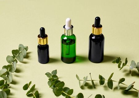 Concept of natural and wellness cosmetic products. Serum oil in bottle with pipette and herbs ingredients standing on pastel green backgroundの写真素材