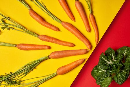 Nature products concept. Top view of healthy food with fresh carrot lying near green cabbage leaves on yellow red backgroundの写真素材