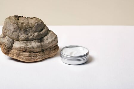 Tree mushroom and jar of cream isolated on white background close-up beauty careの写真素材