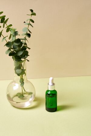 Body care and beauty concept. Small serum oil bottle with pipette standing near vase with green natural plants on background with pastel colorの写真素材