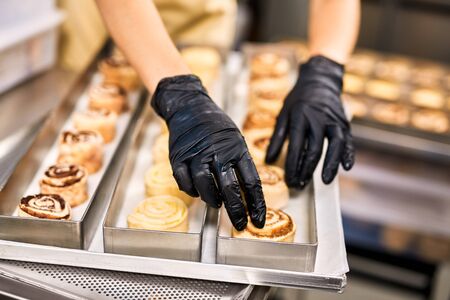 Young woman wearing apron and gloves at bakery shop small business producing dessert cinnamon rolls arranging on tray creative close-upの写真素材