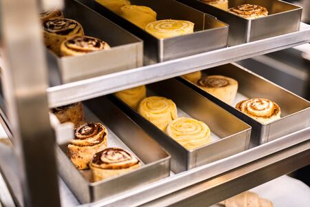 Bakery shop production small business cinnamon rolls isolated on baking paper on tray close-upの写真素材