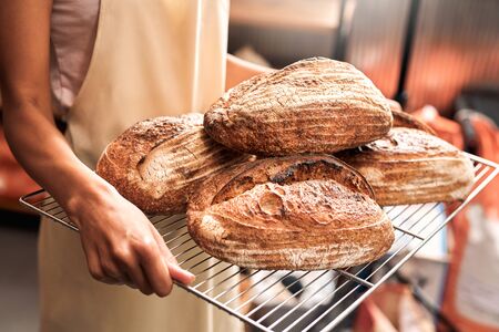 Cropped view of young adult woman working on kitchen in bakery manufacturing, holding tray of fresh and crispy bread, making on homemade recipeの写真素材