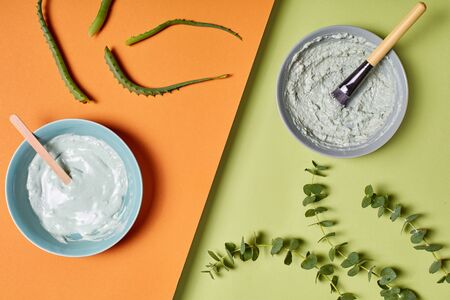 Aloe vera and eucalyptus extract gives an anti-aging, moisturizing, regenerating result to scalp, hair, face. Paint with antioxidants, without harmful substances. Eco powder, creme gloss, colored careの写真素材