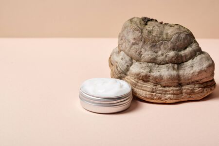 Beauty flat lay isolated on beige background. Cosmetic white pure sensetive cream with light texture with oxygen, protein, silicone, therapeutic, treatmen prevention. Organic molecule, cellular levelの写真素材