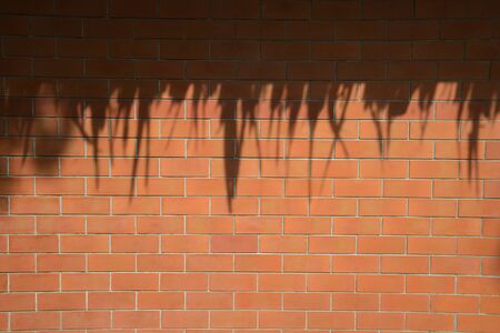 Shadow on a brick wall orange made a differecne background  It made object in front of the background look cool の写真素材