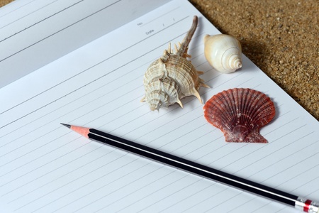  Paper note on the sand  Someone want to take a note for holiday on beach の写真素材