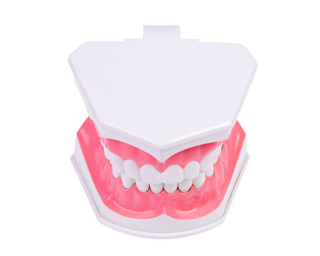 Plactis denture on white background.