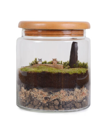Decorate of terrarium bottle on white background.の写真素材