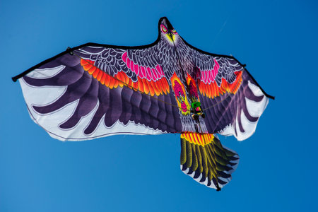 Only one colorful bird kite flying in blue sky.の写真素材