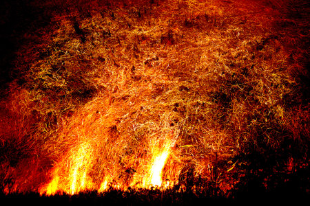 Retouching image of the burning fire shows the heat of intense flames, ashes, and horrors of the...