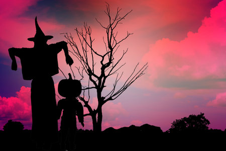 Silhouette of witch and pumpkin-headed boy under the red dazzling sun looked mysterious and terrifying.の写真素材