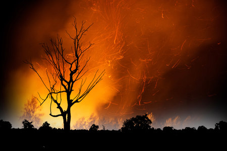 Shadows of forests and hills under the moon and stars contrasted with color red and blue of night sky.の写真素材