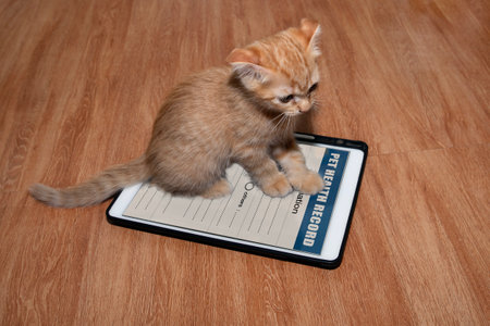 Little orange cat sitting on digital tablet that showing pet health record form on screen.