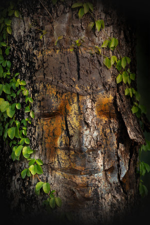 Closeup of retouching of antiques buddha face look like buddha face embedded in wooden surface.の写真素材