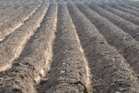 Land preparation for agricultural cultivation involves making ditches or embankments to drain water...