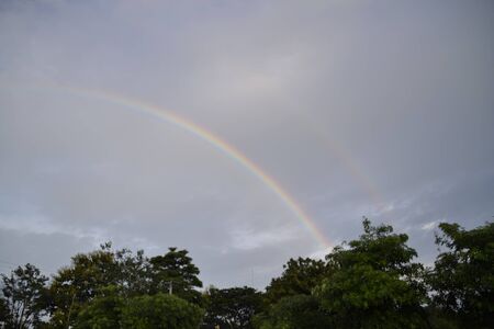rainbowの写真素材