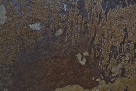 drumheadの写真素材