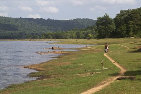 Street wildernessの写真素材