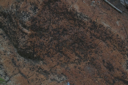 Backgroundの写真素材