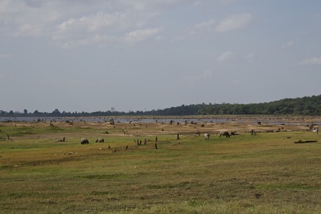 droughtの写真素材