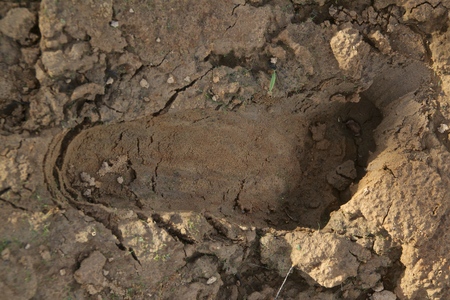 footprintの写真素材