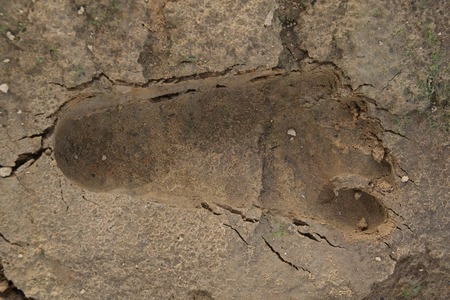 footprintの写真素材