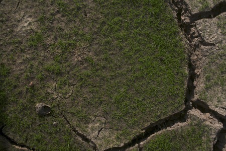 aridityの写真素材