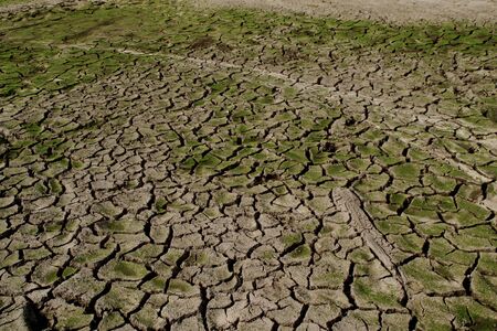 aridityの写真素材