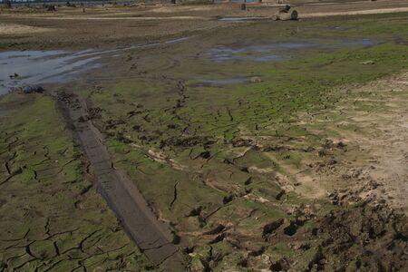 aridityの写真素材