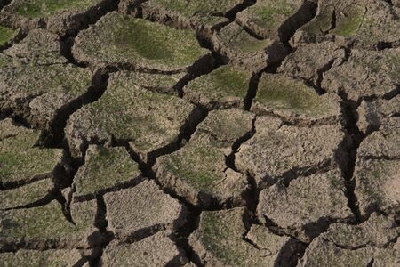 aridityの写真素材