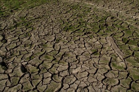 aridityの写真素材