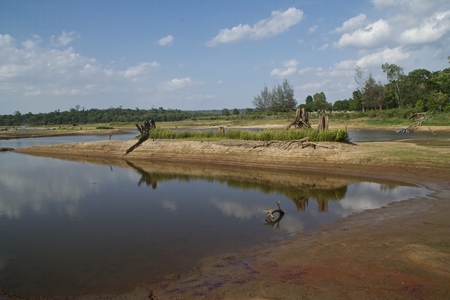 Marshes near dryの写真素材