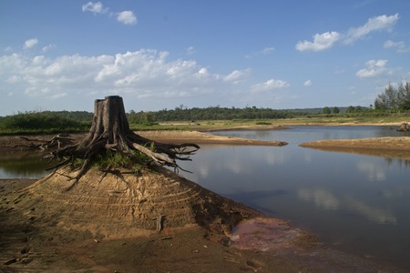 Stumpの写真素材