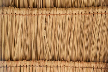 Background grassの写真素材