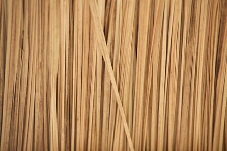 Background grassの写真素材