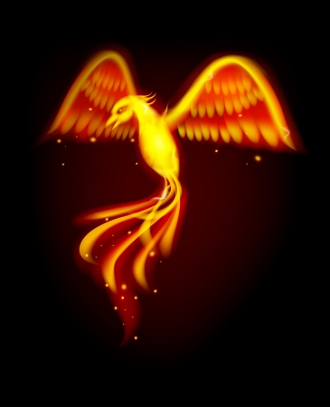 Phoenix bird のイラスト素材