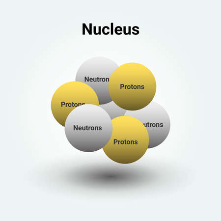 The nucleus of an atom showing protons and neutrons. vector illustration science diagram positive charges in atomic nuclei.のイラスト素材
