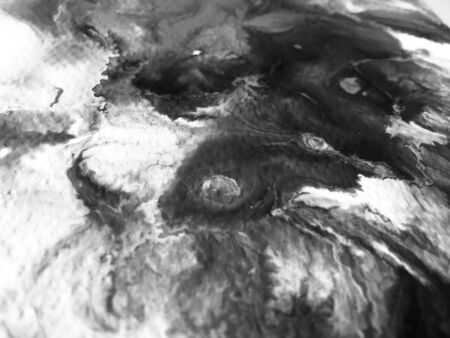 Close Up Black And White Colors Fluid Pouring Abstract Art Acrylic Painting Texture Backgroundの写真素材
