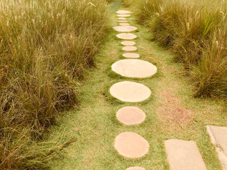 Stone Walkway in Garden Natural Natureの写真素材