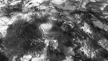 Close Up Black and White Colors Fluid Pouring Abstract Art Acrylic Painting Texture Background