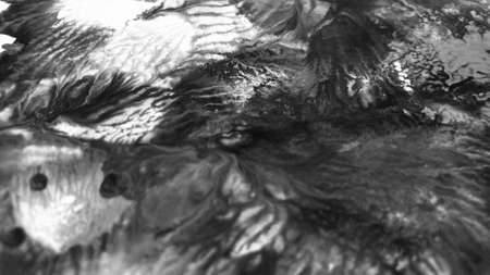 Close Up Black and White Colors Fluid Pouring Abstract Art Acrylic Painting Texture Background