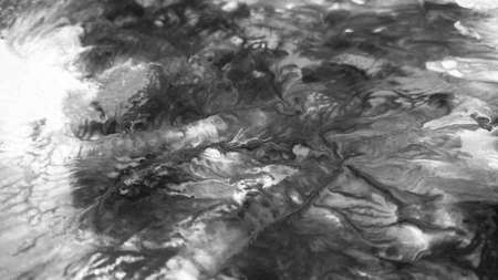 Close Up Black and White Colors Fluid Pouring Abstract Art Acrylic Painting Texture Background