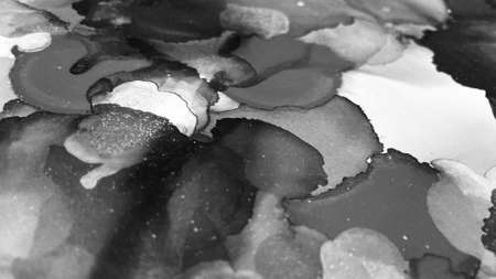 Close Up Black and White Colors Fluid Pouring Abstract Art Acrylic Alcohol Ink Painting Texture Backgroundの写真素材