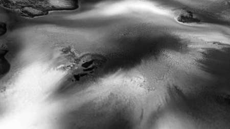 Close Up Black and White Colors Fluid Pouring Abstract Art Acrylic Alcohol Ink Painting Texture...