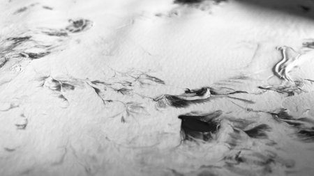 Close Up Black and White Colors Fluid Pouring Abstract Art Acrylic Painting Texture Backgroundの写真素材