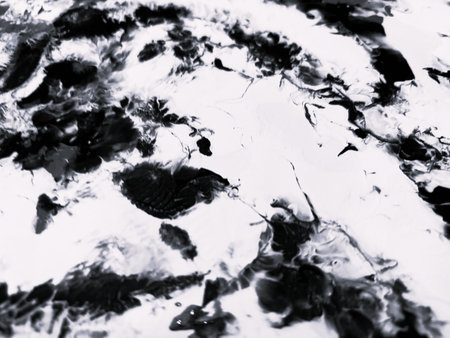 Close Up Black and White Colors Fluid Pouring Abstract Art Acrylic Painting Texture Backgroundの写真素材