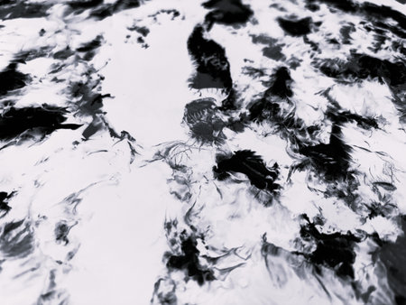 Close Up Black and White Colors Fluid Pouring Abstract Art Acrylic Painting Texture Backgroundの写真素材